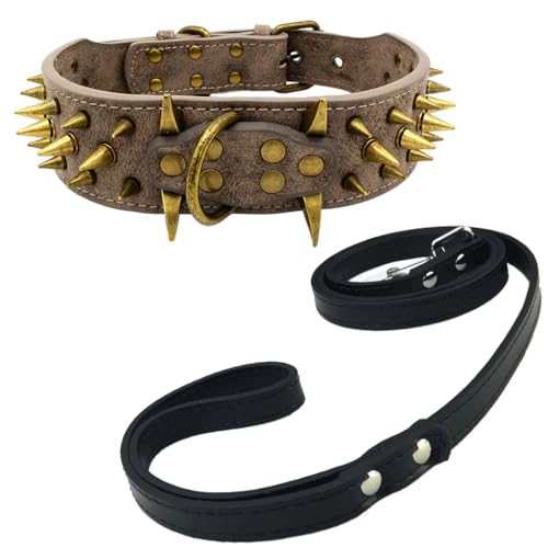 Newtensina Retro Bronze Nieten Hundehalsband und Leine Heavy Duty Hundehalsband mit Nieten für große Hunde (0040) - Schwarz - L von Newtensina