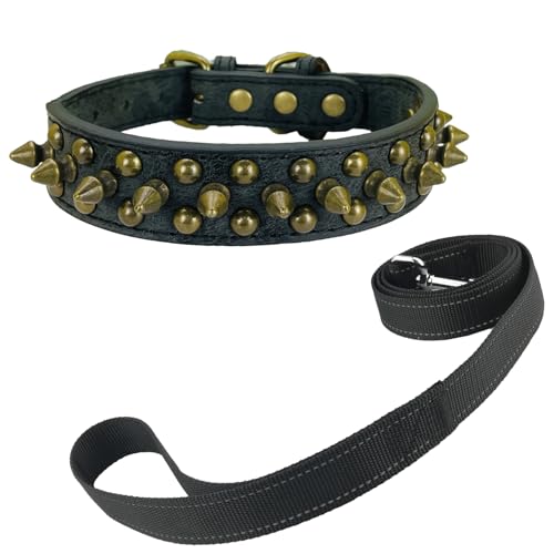 Newtensina Schwarzes Nietenhalsband und Leine mit Retro-Nieten für kleine Hunde mittlere Hunde große Hunde (0044) von Newtensina