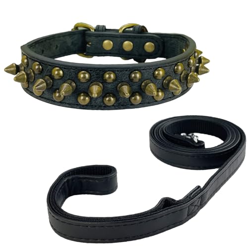 Newtensina Schwarzes Nietenhalsband und Leine mit Retro-Nieten für kleine Hunde mittlere Hunde große Hunde (0049) von Newtensina