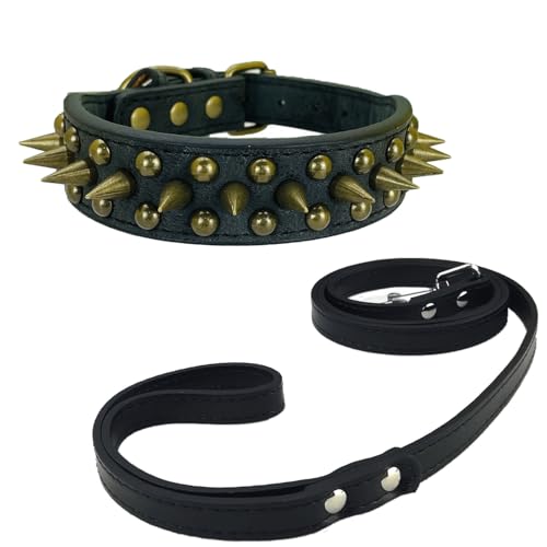 Newtensina Schwarzes Nietenhalsband und Leine mit Retro-Nieten für kleine Hunde mittlere Hunde große Hunde (0053) von Newtensina