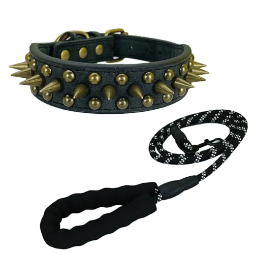 Newtensina Schwarzes Nietenhalsband und Leine mit Retro-Nieten für kleine Hunde mittlere Hunde große Hunde (0055) von Newtensina