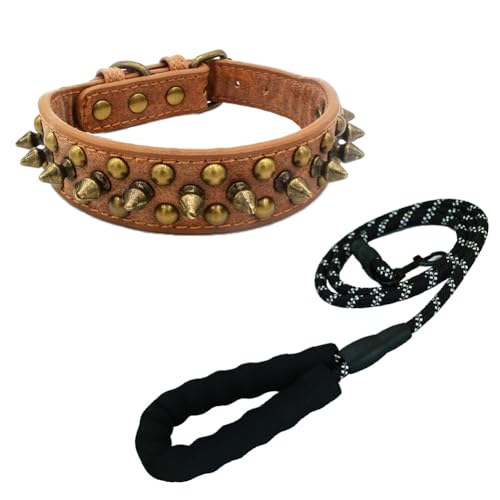 Newtensina Schwarzes Nietenhalsband und Leine mit Retro-Nieten für kleine Hunde mittlere Hunde große Hunde (0066) von Newtensina