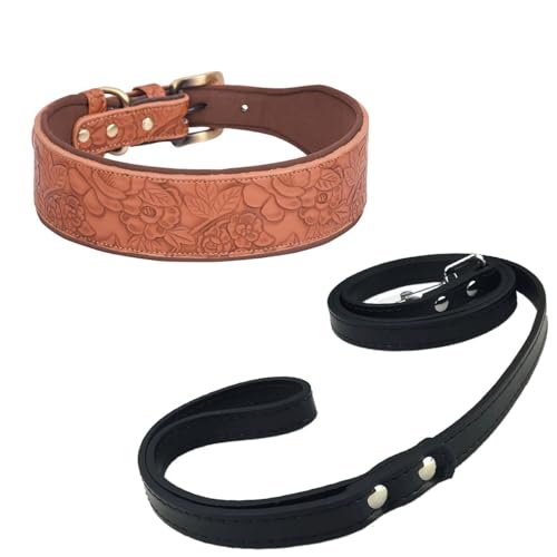 Newtensina Vintage Hundehalsband und Leine Geprägte Blume Haustierhalsband mit Sapce Baumwolle gepolstert für kleine Hunde mittlere Hunde (0103) von Newtensina