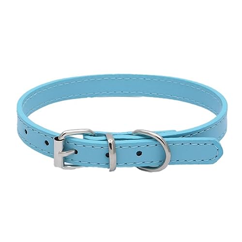 Newtensina Weiches Hundehalsband Welpenhalsbänder für kleine Hunde - Blau - XS von Newtensina