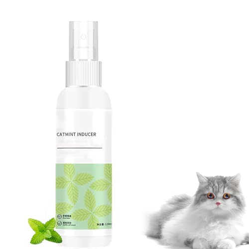 Catnip Spray, Katzenminze Spray als Beruhigungsmittel für Katzen, Katzen Minze, Anti Stress Katzen Beruhigungsmittel, Rein natürliches Anti Stress Spray zur Entspannung und zur Beruhigung von Katzen von Nexolla