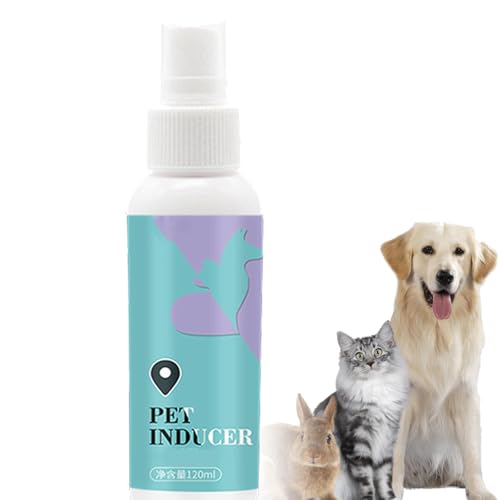 Nexolla Hunden Töpfchentraining, Töpfchen-Trainingsspray für Hunde,Hundepipi Spray Training, Hunde Lockstoff Spray, Potty Training Spray, Hundepipi Spray Training, Hunde-PIPI-Trainer von Nexolla