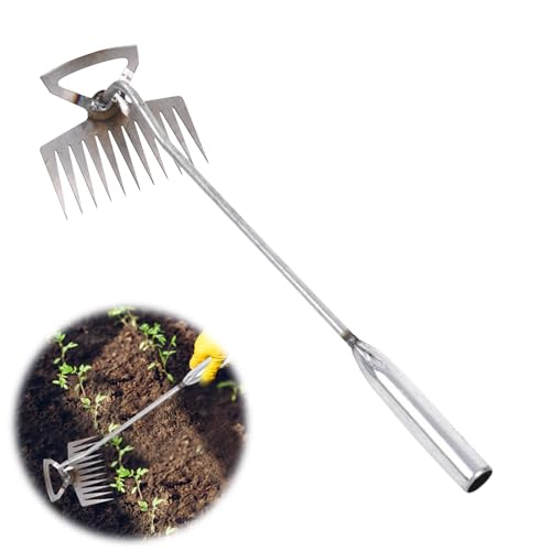 Edelstahl Unkrautstecher, Unkraut Entferner Gerät Edelstahl Fugenkratzer mit Stiel Manueller Unkrautjäter mit Stiel Fugenreiniger Unkraut Gartenwerkzeug Gartenarbeit Hand Unkrautstecher (11 claws) von Nexoria