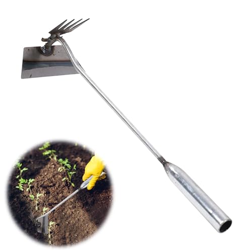 Edelstahl Unkrautstecher, Unkraut Entferner Gerät Edelstahl Fugenkratzer mit Stiel Manueller Unkrautjäter mit Stiel Fugenreiniger Unkraut Gartenwerkzeug Gartenarbeit Hand Unkrautstecher (4 claws) von Nexoria