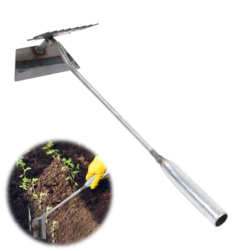 Edelstahl Unkrautstecher, Unkraut Entferner Gerät Edelstahl Fugenkratzer mit Stiel Manueller Unkrautjäter mit Stiel Fugenreiniger Unkraut Gartenwerkzeug Gartenarbeit Hand Unkrautstecher (8 claws) von Nexoria