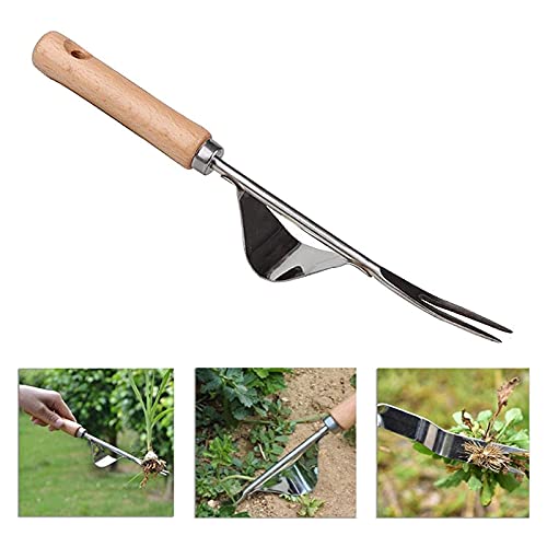 Unkrautstecher, Handjätgerät Für Den Garten Edelstahl Manueller Unkrautstecher Fugenkratzer Unkraut Wurzeljäter Mit Holzgriff Unkraut Entferner Gerät Manueller Weeder Zum Graben Jäten Lösen (1pc) von Nexoria