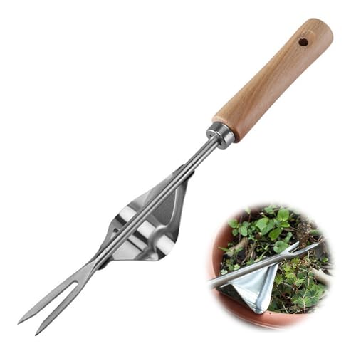 Unkrautstecher, Handjätgerät Für Den Garten Edelstahl Manueller Unkrautstecher Fugenkratzer Unkraut Wurzeljäter Mit Holzgriff Unkraut Entferner Gerät Manueller Weeder Zum Graben Jäten Lösen (L) von Nexoria