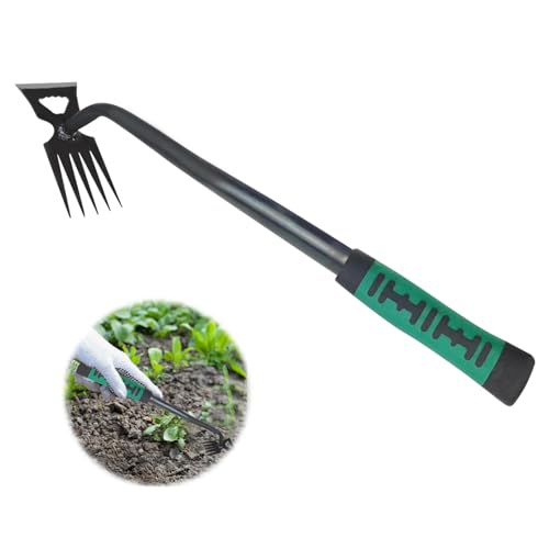 Unkrautstecher, Unkrautjäter Unkraut Entferner Gerät Manueller Unkrautstecher mit Stiel Unkrautstecher Edelstahl Gartenarbeit Hand Unkrautstecher mit Stiel zum Entfernen von Gartenunkräutern (A) von Nexoria