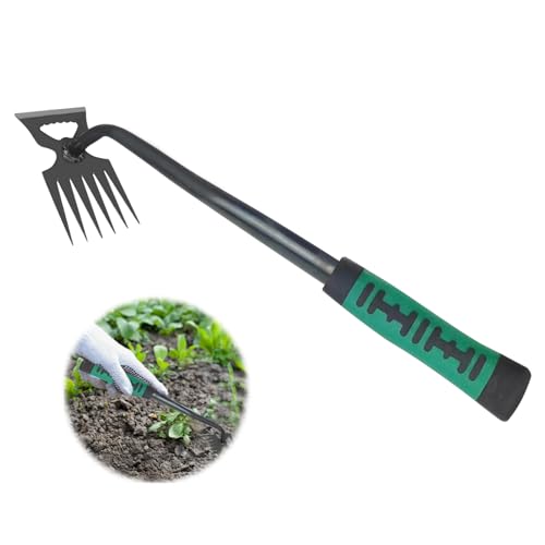 Unkrautstecher, Unkrautjäter Unkraut Entferner Gerät Manueller Unkrautstecher mit Stiel Unkrautstecher Edelstahl Gartenarbeit Hand Unkrautstecher mit Stiel zum Entfernen von Gartenunkräutern (B) von Nexoria