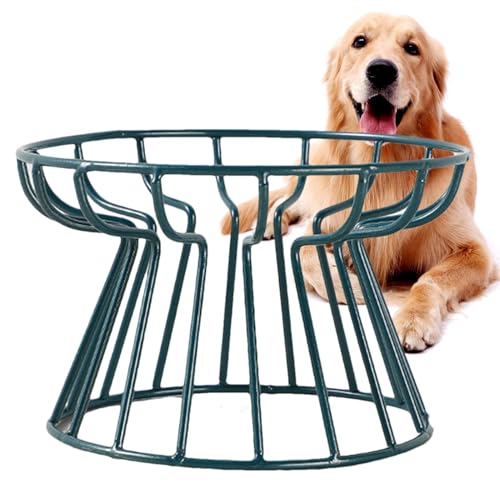 Keramik erhöhte Chat -Lebensmittelschalen für Keramik -Schnurrbärte mit metallischer Unterstützung | Geteilte Katzenschalen mit Nicht -Slip- und Anti -Rust -Metallunterstützung für Katzen Keramik erhöhte Chat -Lebensmittelschalen für Keramik -Schnurrbärte mit metallischer Unterstützung | Geteilte Katzenschalen mit Nicht -Slip- und Anti -Rust -Metallunterstützung für Katzen von Nexusectar