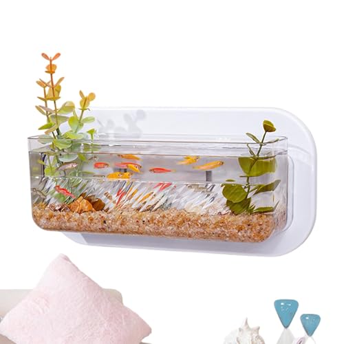 Nexusectar Fischschüssel für Wand, Wandfischtank, Kleine Pflanzenvase für Wand, Fischtankschale für Wohnzimmer, Schlafzimmer, Küche, Wohnung, Schlafsaal von Nexusectar