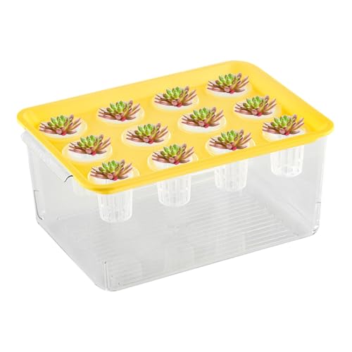 Aquarium-Fischzuchtbox, Brutkasten, Brutkasten, Brutkasten, Brutkasten, Brutkasten, Aquaponischer Übertopf und Aquarium, Desktop-Aquarium, Fischtank für Tischdekoration von Nhujevkom