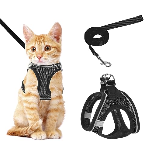NiCoLa Katzengeschirr und Leine zum Spazierengehen, ausbruchsicheres Kätzchengeschirr und Leine, Set mit reflektierenden Streifen, verstellbares Kätzchen-Westengeschirr für kleine erwachsene Katzen NiCoLa Katzengeschirr und Leine zum Spazierengehen, ausbruchsicheres Kätzchengeschirr und Leine, Set mit reflektierenden Streifen, verstellbares Kätzchen-Westengeschirr für kleine erwachsene Katzen von NiCoLa