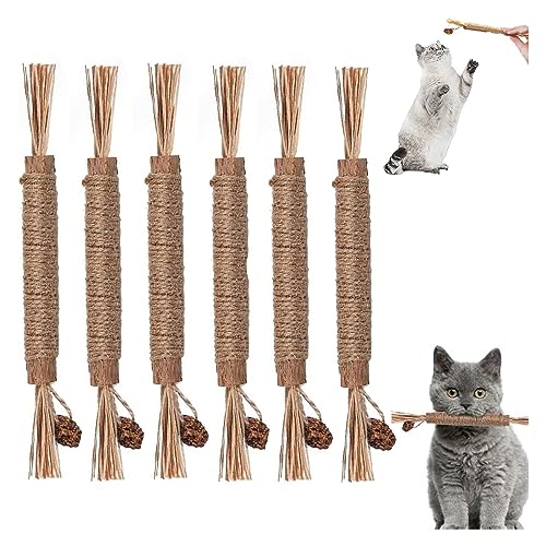 Pawlovers Kitty Dental Chew Stick, 2024 Best Natural Silvervine Sticks for Cats, Pawlovers Dental Chew Stick Katzen, Catmint Silvervine Blend, Pawlovers Cat Chew Toy for Kittens Teeth Cleaning (5PC) von Niblido