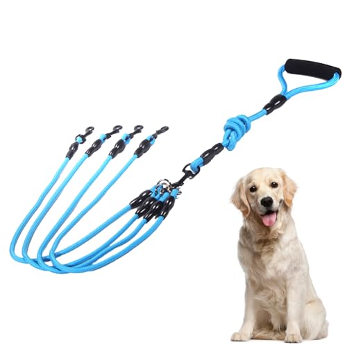 3-in-1-Hundeleinen,3-teilige Hundeleine mit verstellbare stoßdämpfende Bungee-reflektierende Leine für Hunde klein mittlere und große Lauftraining von Nicoone