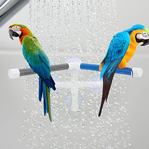 Nicoone Papageien-Duschständer, Haustier-Papageien-Badewanne, stehende Plattform mit Saugnapf für Papageien, Aras für Papageien, Aras von Nicoone