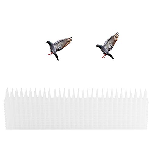 Nicoone Vogel Spikes 12Pcs Outdoor Kunststoff Anti Vogel Spike Streifen Vogel Repellent für Zaun Wand Dach Weiß von Nicoone