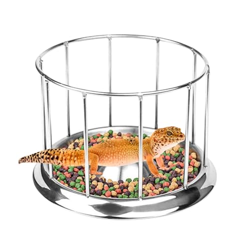 Reptilien Fütterungsschale, Rust-Proof Food and Water Feeder, Edelstahlschalen Terrariumschalen, Bärde Drachenschildkröten-Habitatzubehör, Rostfeste Haustierspender Für Home Vivarium Reptilien Fütterungsschale, Rust-Proof Food and Water Feeder, Edelstahlschalen Terrariumschalen, Bärde Drachenschildkröten-Habitatzubehör, Rostfeste Haustierspender Für Home Vivarium von Niesel