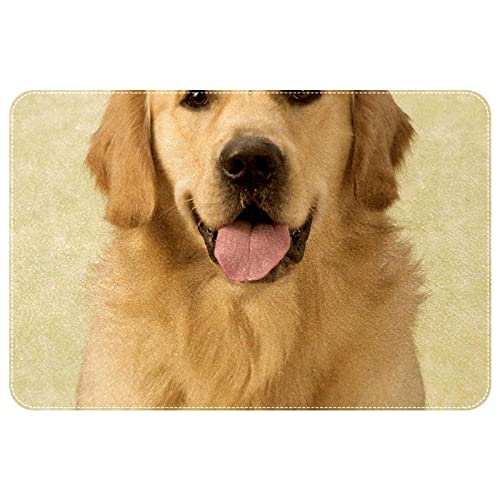 NigelMu Teppiche,Innentürmatte,süßer Hund,waschbarer Teppich für Schlafzimmer,Wohnzimmer,Rutschfester Teppich von NigelMu