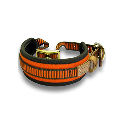 Niggeloh Hundehalsband Schweißhalsung, orange-oliv, XS, 011100020 von Niggeloh