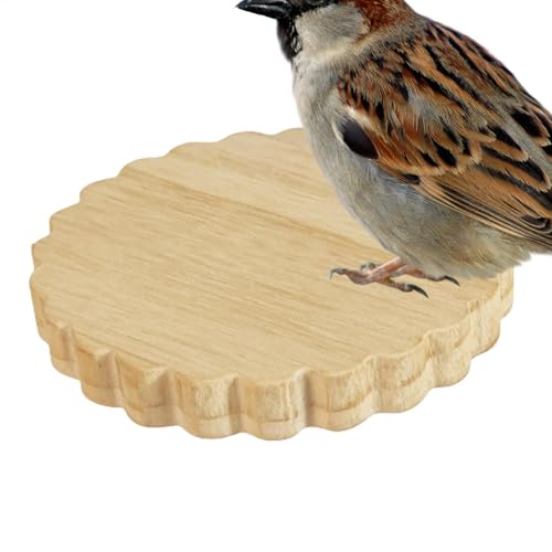 Papageiung Barsch, Vogelstange für Käfig - Kleines Tierholz Barsch Stand - Holzvogel Steht Käfigzubehört von Niktule