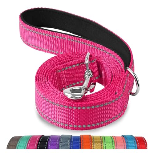 120/150/200/300 cm Reflektierendes Zugseil for Haustiere, Starkes Zugseil aus Nylon for kleine, mittelgroße und große Hunde, goldene Retriever-Leine(Bright Pink,1.5mx2.5cm) von Nilnyvda