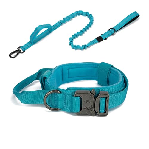 Hundehalsband- und Leinen-Set aus Nylon, strapazierfähiges Hundehalsband, reflektierende Leine, taktisches Hundetrainingshalsband, großes Hundeleinen-Set(Blue Set,M (36-48CM)) von Nilnyvda