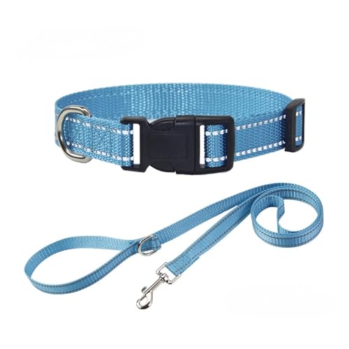 Nylon Dog Collar and Leash Set Pet Collars Leash for Small Medium Large Dogs Dog Accessories for Small Dogs(Blue Set,L 2.5(39-60CM)) von Nilnyvda