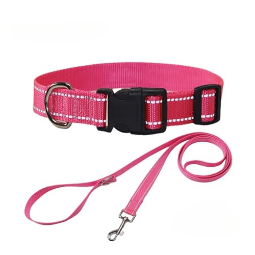 Nylon Dog Collar and Leash Set Pet Collars Leash for Small Medium Large Dogs Dog Accessories for Small Dogs(Rose Set,L 2.5(39-60CM)) von Nilnyvda