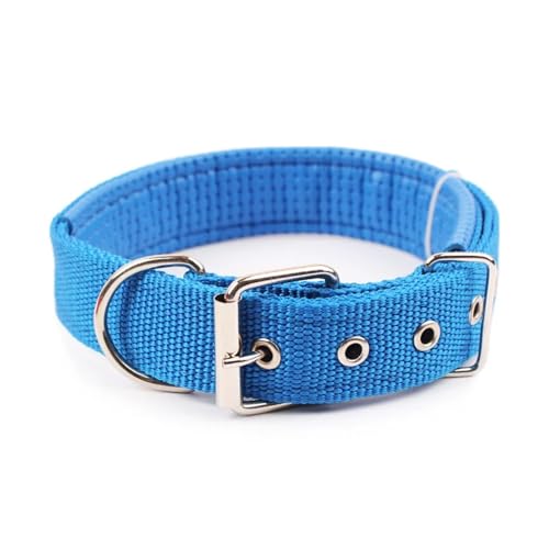 Solide Hundehalsbänder Nylon-Hundehalsband for kleine, mittelgroße und große Hunde(Blue,XL) von Nilnyvda