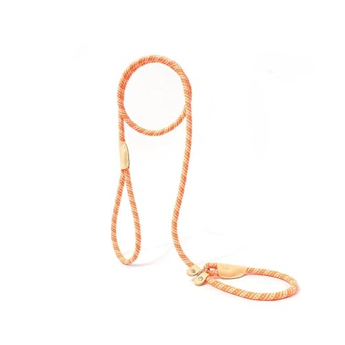 Verstellbares Halsband, Geschirr, Hundeleine, Nylon, Haustier-Leine, Hundezubehör, Katzenhalsband, Hundegeschirr, strapazierfähiger Seilgürtel(Orange,0.6CM 1.8M) von Nilnyvda