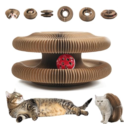 Nimedala Kitten Curl, Kitten Curl Spielzeug, Kitten Curl Katzenspielzeug, Kitten Curl Katzenspielzeug aus Karton, Magic Organ Katzenkratzbaum, Akkordeon Katzenspielzeug mit Ball (1Pcs) von Nimedala