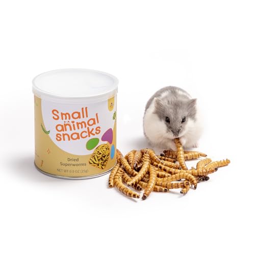 Niteangel Hamster-Snacks und Leckerlis Spielzeug - Natürlicher Leckerbissen für Zwerghamster, Syrische Hamster, Robo Hamster, Gerbils, Mäuse, Degus oder (Dried Worms- 0.9oz (25g)) von Niteangel