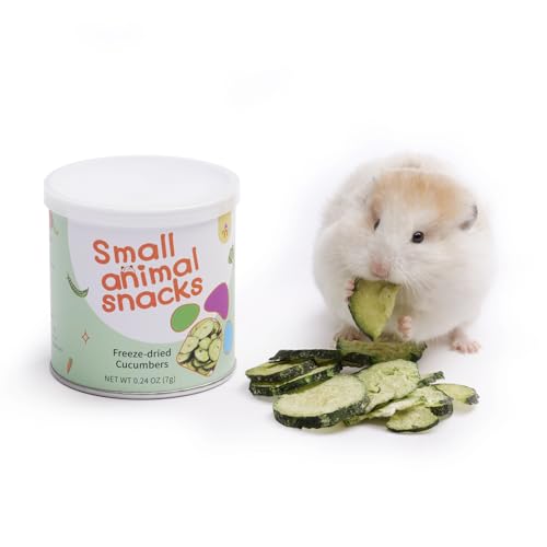 Niteangel Hamster-Snacks und Leckerlis Spielzeug - Natürlicher Leckerbissen für Zwerghamster, Syrische Hamster, Robo Hamster, Gerbils, Mäuse, Degus oder (Freeze-Dried Cucumbers) von Niteangel