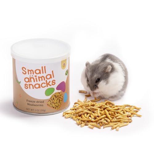 Niteangel Hamster-Snacks und Leckerlis Spielzeug - Natürlicher Leckerbissen für Zwerghamster, Syrische Hamster, Robo Hamster, Gerbils, Mäuse, Degus oder (Freeze-dried Mealworms - 1oz (30g)) von Niteangel