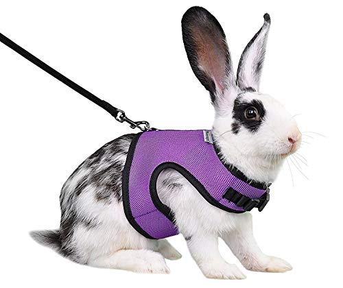 Niteangel Verstellbares, weiches Geschirr mit elastischer Leine für Kaninchen (M, Violett) von Niteangel