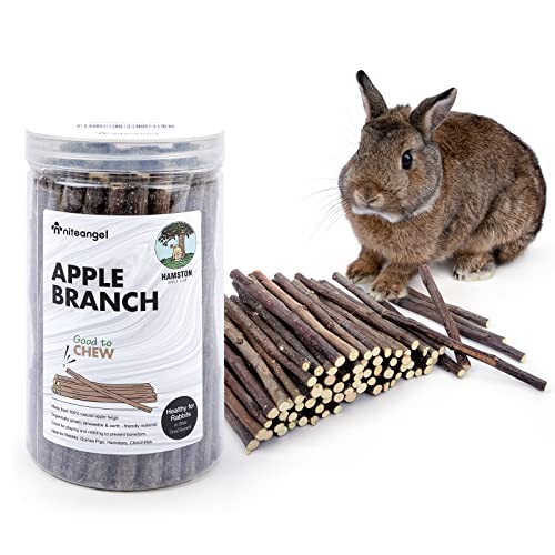Niteangel atural Timothy Hay Sticks, Timothy Molar Rod for Rabbits, Chinchilla, Guinea Pigs and Other Small Animals (Apfelzweig) von Niteangel