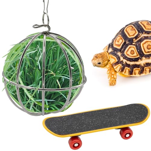 Schildkröten-Leckerli-Ball und Mini-Schildkröten-Skateboard-Set, Trainingsskateboard-Spielzeug & Schildkröten-Leckerli-Ball zum Aufhängen, Futterball, Schildkröten-Tank-Zubehör für von Niuohoy