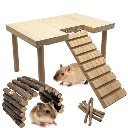 Niwaes Hamster Plattform mit Leiter Holz Syrische Hamster Stehplattformen mit Beinen Set Holz Rennmäuse Kletterbrücke Spielzeug Maus Käfig Zubehör von Niwaes