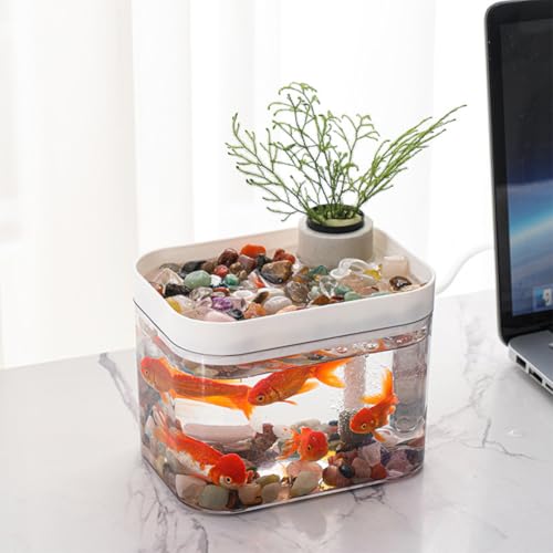 Niwugady Aquarium mit Deckel, transparentes Aquarium mit USB-Luftpumpe, Desktop-Dekoration, kleines Aquarium für Betta-Fische, Garnelen, Goldfische, B von Niwugady