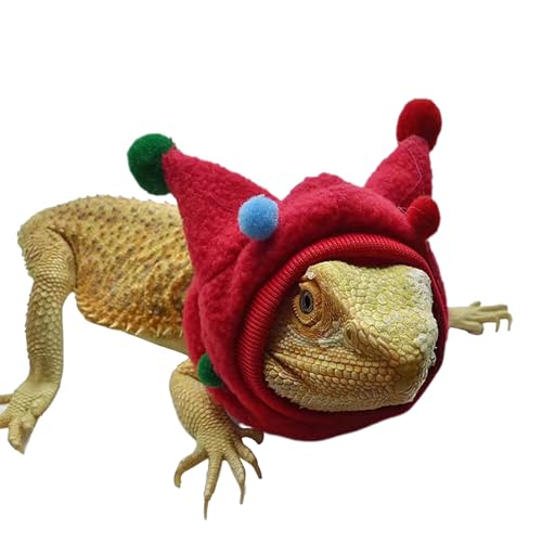 Niwugady Rotes, minimalistisches, rotes Bartagamenkostüm, Eidechsen, Fleece-Hut mit hochelastischem Wollball, Halloween-Hoodies, Weihnachtskleidung, Outfit für Geckos, Reptilien von Niwugady