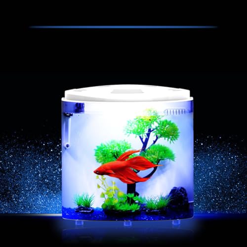 Niwugady Schreibtisch-Aquarium mit LED-Licht, Mini-Acryl-Aquarium mit künstlicher Wasserpflanze, Dekoration, kleines unabhängiges Aquarium für Wohnzimmer, Büro, Dekoration von Niwugady