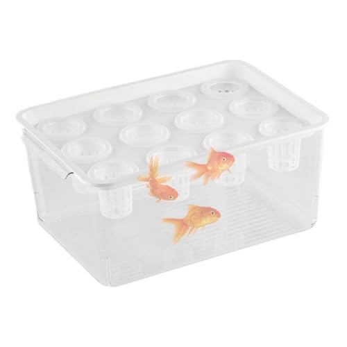 Aquaponischer Pflanzer Und Aquarium Für Betta -Fische, Betta Fischtank - Aquaponics Garden,Fischtank Fördert Eine Gesunde Hydroponische Umgebung Für Die Tischdekoration von Nixiara