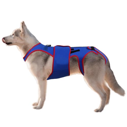 Hunde Rehabilitation Kleidung - Einfach Zu Bedienender Hundebechklammern Wirbelsäulenstütze | Qualitätsmaterial Pet Back Bracer Für IVDD, D-Ring Und Reflektierstreifen, Erholung Der Verletzung von Nixiara