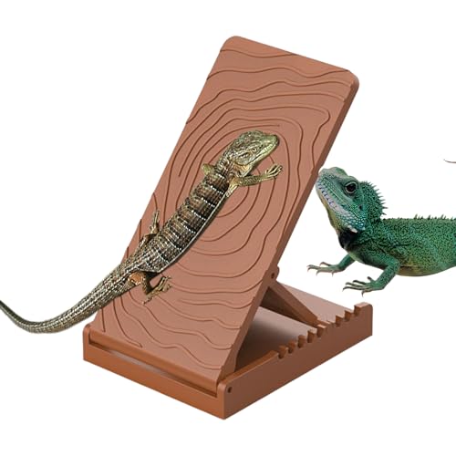 Nixiara Bartagame Sonnenplatz Kletterrampe | Eidechsen Kletterschiefer Terrarium Habitat - Klappbare Reptilienrampe Für Klettern Ruhen Füttern Bei Echsen Schlangen Fröschen Nixiara Bartagame Sonnenplatz Kletterrampe | Eidechsen Kletterschiefer Terrarium Habitat - Klappbare Reptilienrampe Für Klettern Ruhen Füttern Bei Echsen Schlangen Fröschen von Nixiara
