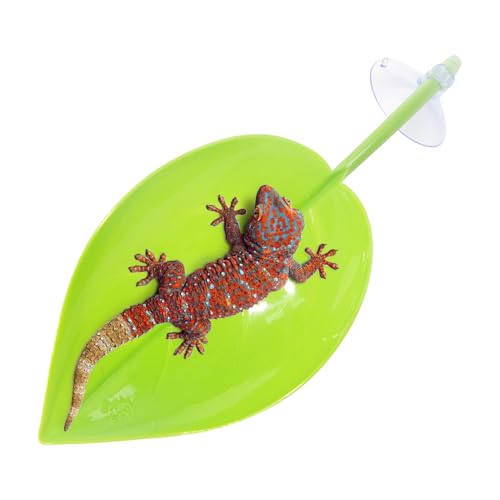 Schildkröten -Backen - Blattplattform, Rastenterrasse | Terrariumdekor Mit Saugnäpfeln Für Teich Amphibienkröten Schildkröten -Backen - Blattplattform, Rastenterrasse | Terrariumdekor Mit Saugnäpfeln Für Teich Amphibienkröten von Nixiara